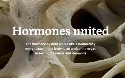 Hormones United – Featured Article by Liam Drew